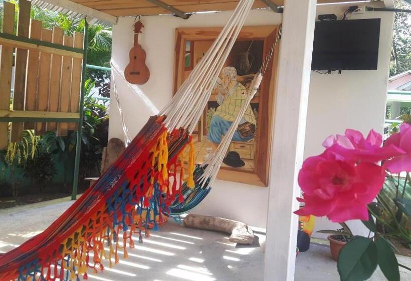 经典四人房间, Rainforest Yasmin