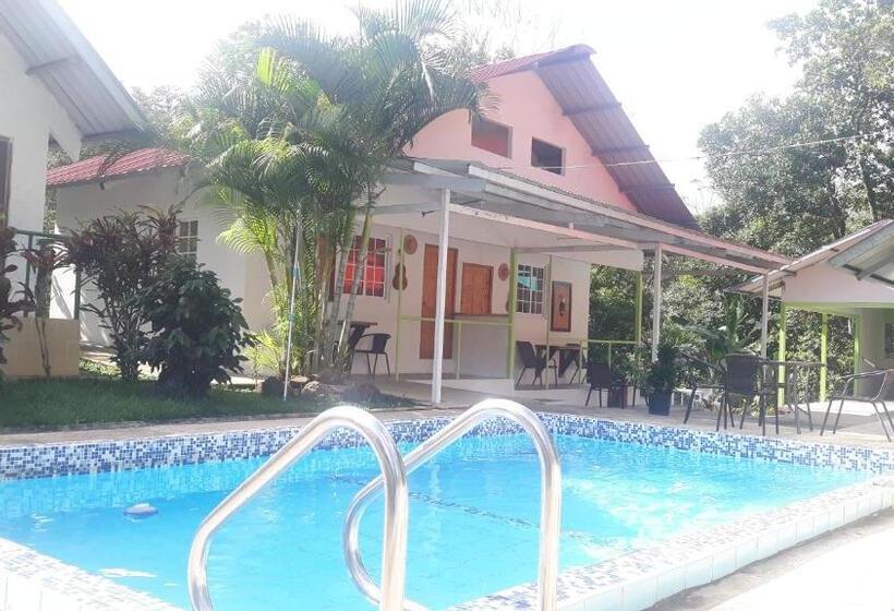 经典四人房间, Rainforest Yasmin