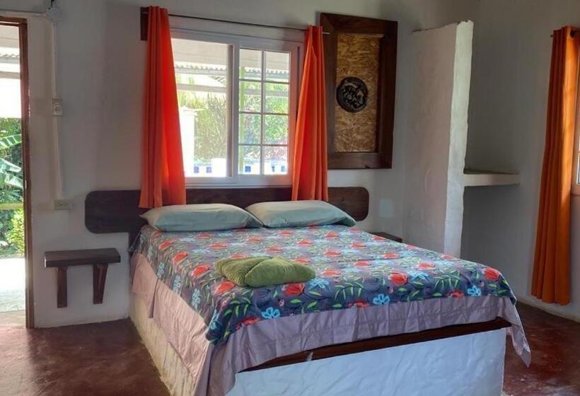 经典四人房间, Rainforest Yasmin