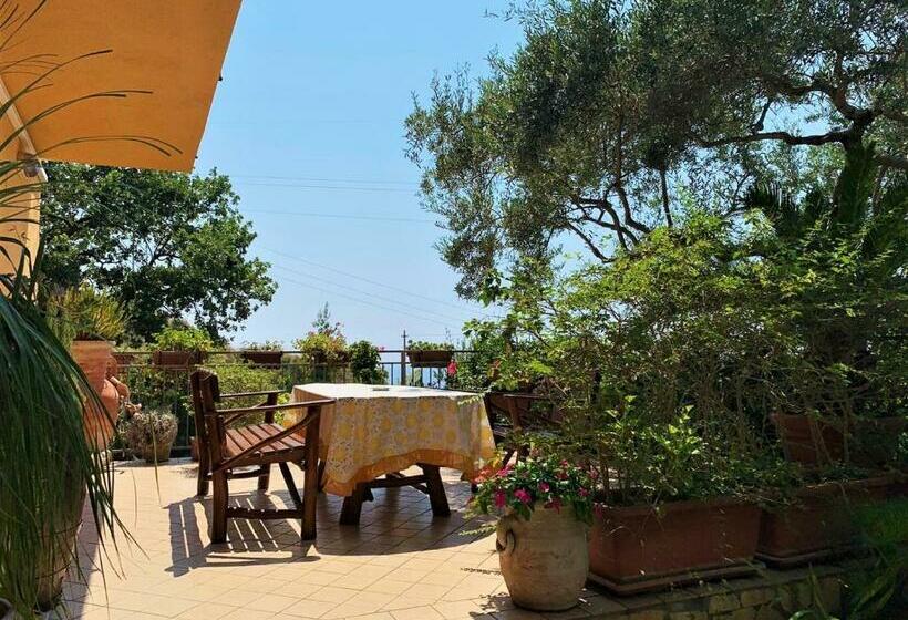 Апартаменты 1 Спальня, B&b Dei Fiori