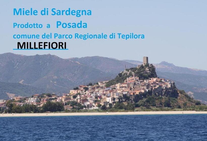 חדר סטנדרט, B&b Feronia