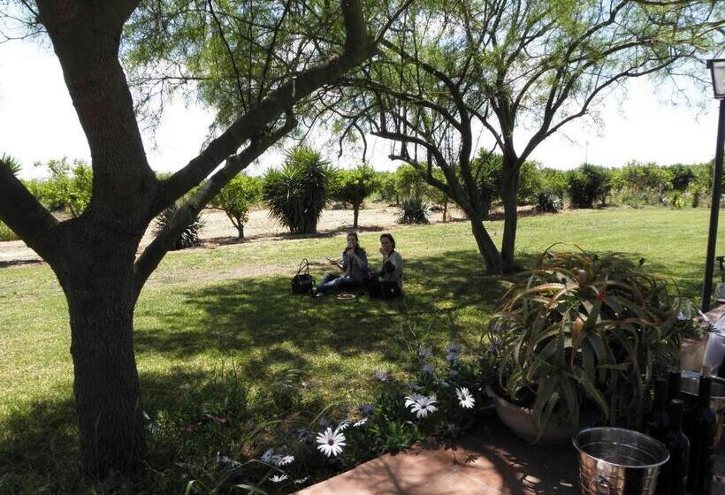 غرفة كومفورت, Tenuta Del Gelso