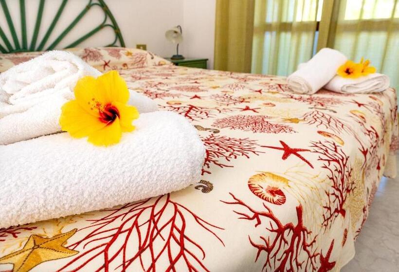 חדר אקונומי לשלושה, Il Complesso Saraceno