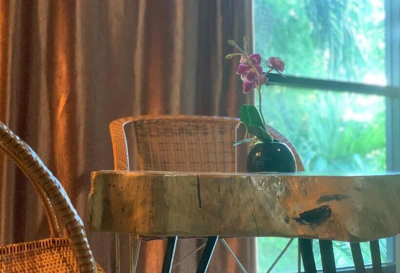 스위트, T Vintage