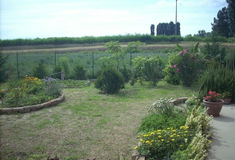 스탠다드 룸, B&b Da Toni