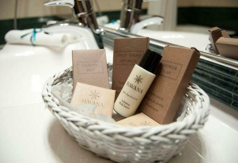 스탠다드 발코니 룸, Nemira