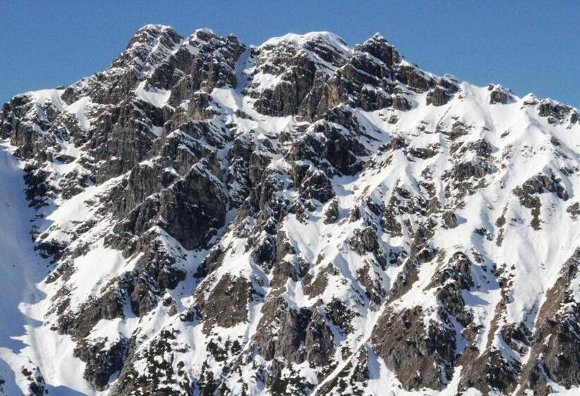 إستديو عائلى, Alpen Suites Brandnertal