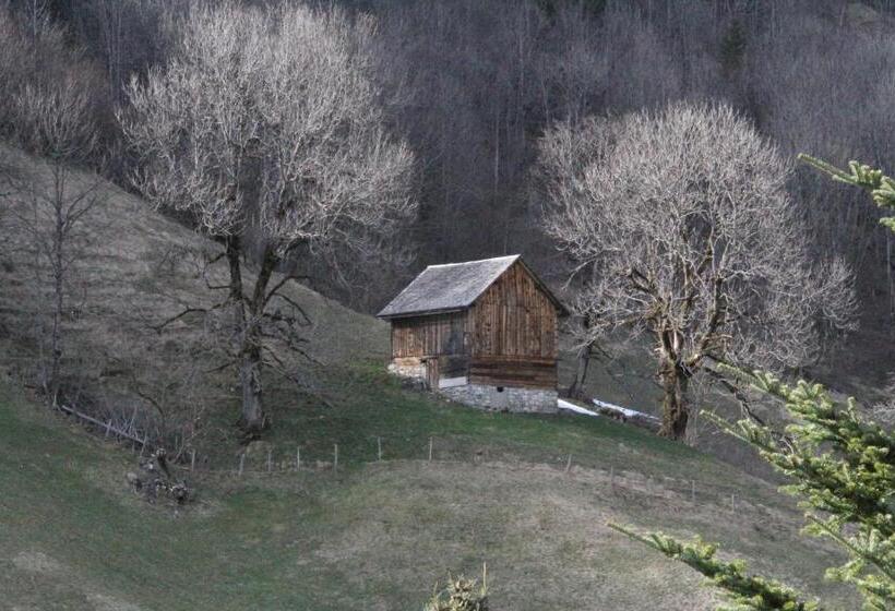 استودیو خانوادگی, Alpen Suites Brandnertal