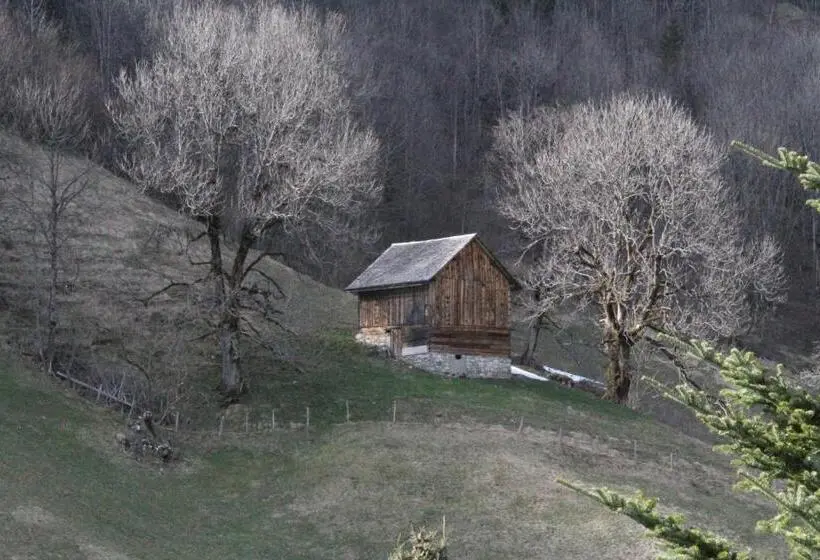 Perhestudio, Alpen Suites Brandnertal