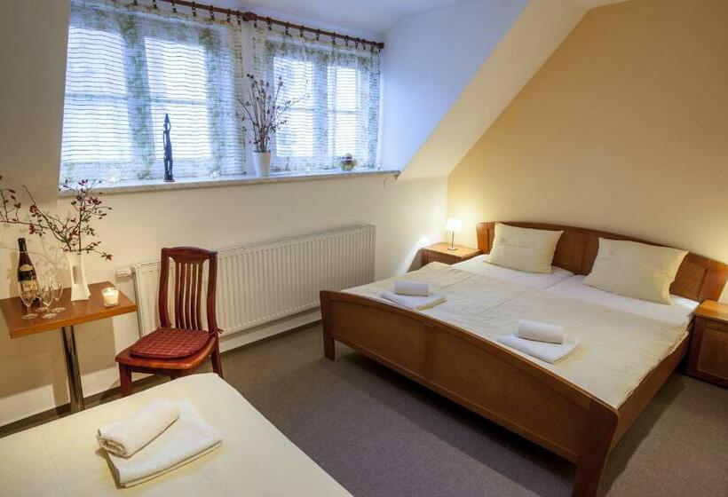 اتاق استاندارد سه نفره, Aurelius Mikulov