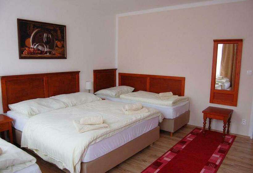 اتاق استاندارد چهار تخته, Aurelius Mikulov