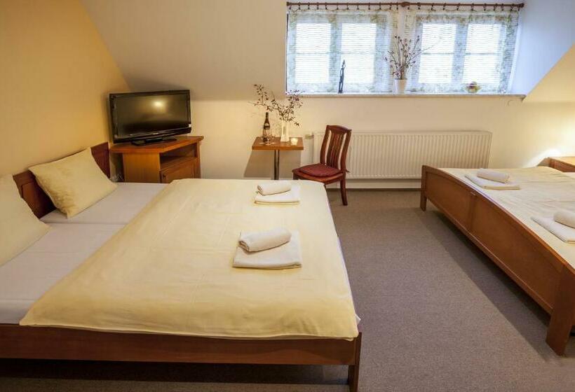 اتاق استاندارد چهار تخته, Aurelius Mikulov