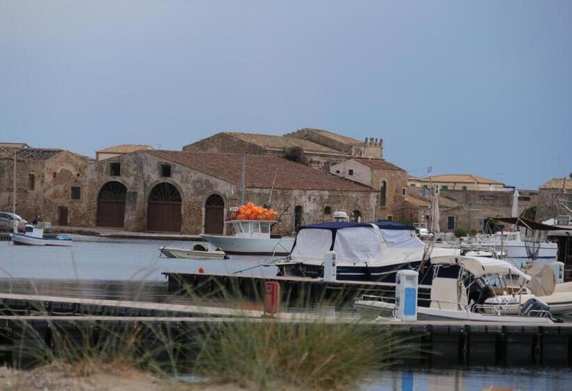 스탠다드 스튜디오 (테라스구비), Celeste