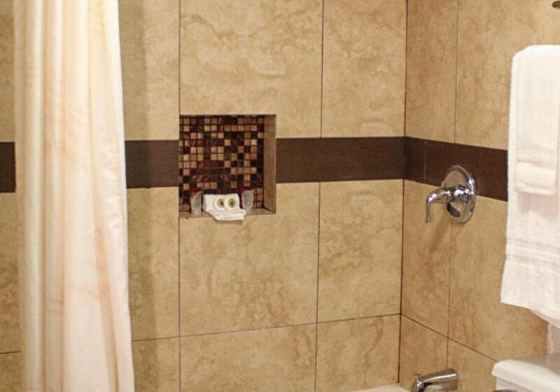 غرفة قياسية سرير كينج, Surestay Hotel Laredo By Best Western