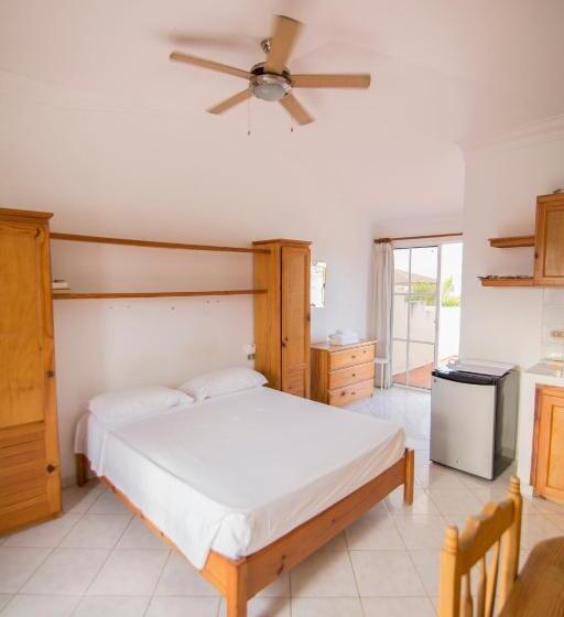 スタンダードスタジオ, Las Palmeras By Graziano