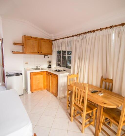 スタンダードスタジオ, Las Palmeras By Graziano