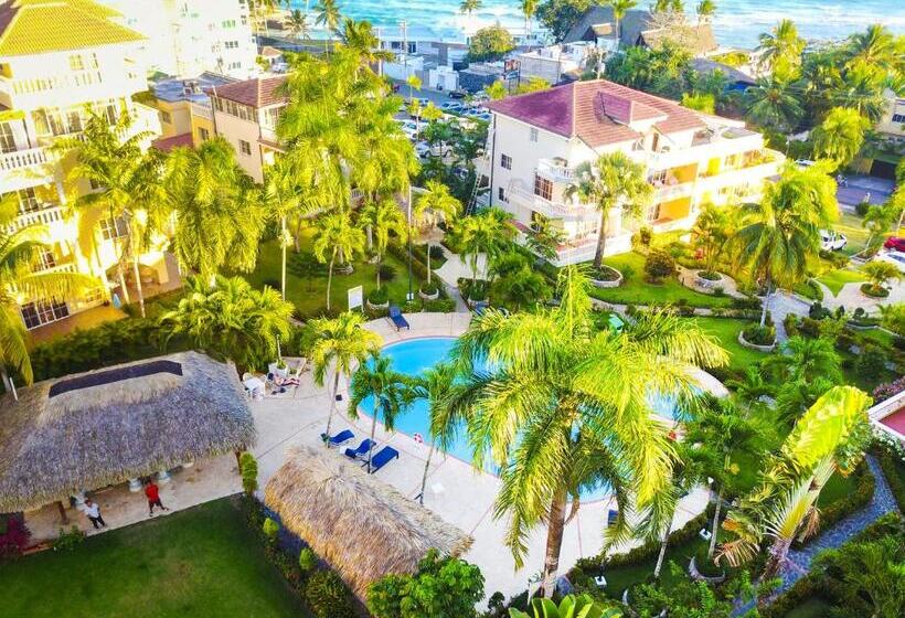 スタンダードスタジオ, Las Palmeras By Graziano