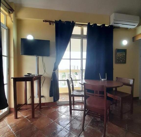 スタンダードスタジオ, Las Palmeras By Graziano