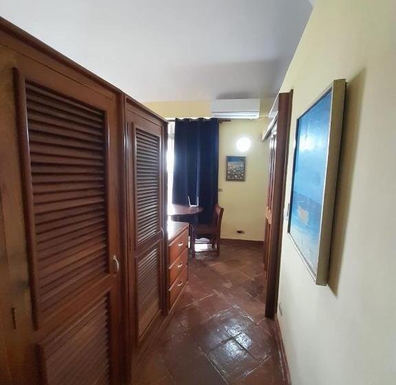 スタンダードスタジオ, Las Palmeras By Graziano