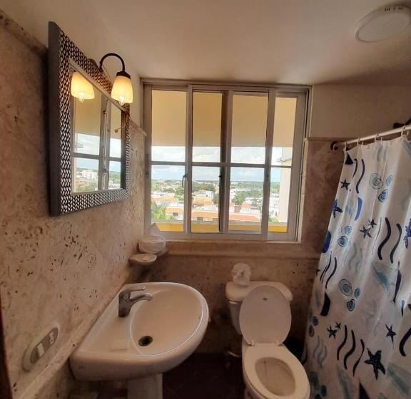 スタンダードスタジオ, Las Palmeras By Graziano