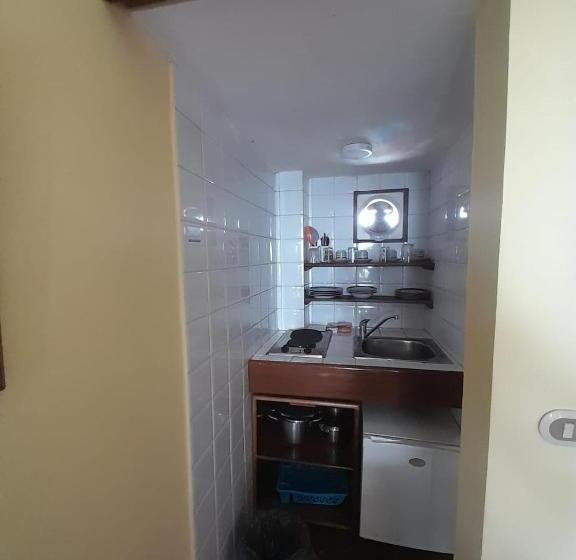 スタンダードスタジオ, Las Palmeras By Graziano