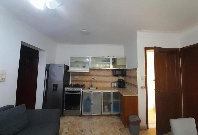 スタンダードルーム, Las Palmeras By Graziano