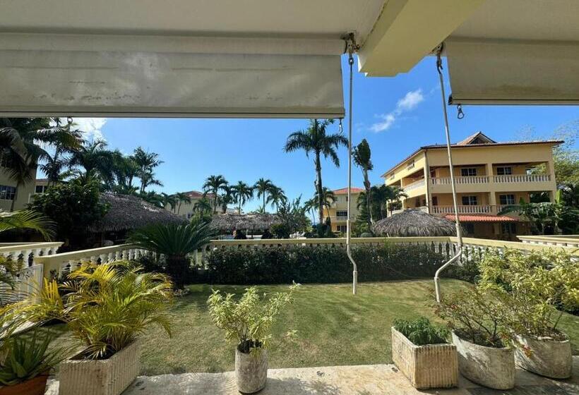 スタンダードスタジオ, Las Palmeras By Graziano