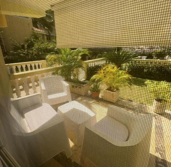 スタンダードスタジオ, Las Palmeras By Graziano