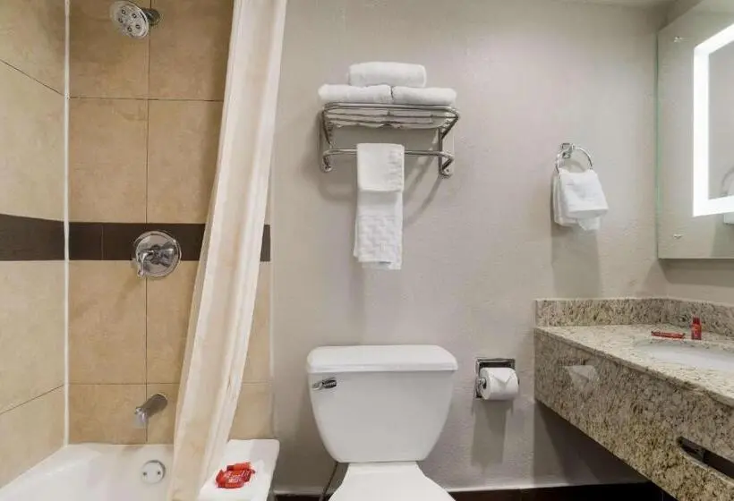 スタンダードルーム, Surestay Hotel Laredo By Best Western