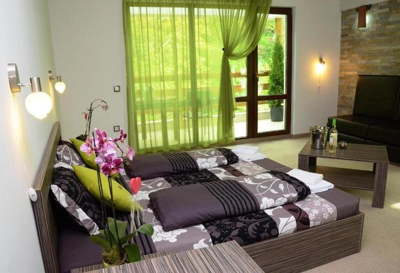 스탠다드 룸, Family Hotel Bohema