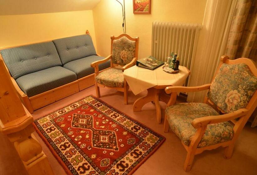 Номер Стандарт с Балконом, Adlerschanze