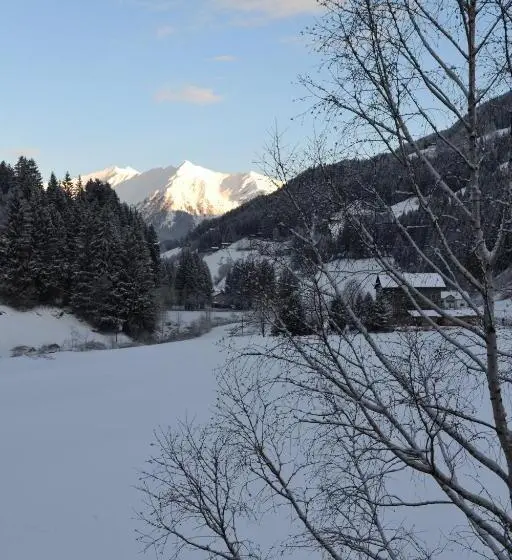 スタンダードシングルルーム, Alpenblick