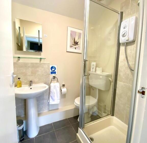 带大床的标准间, The Craven Arms