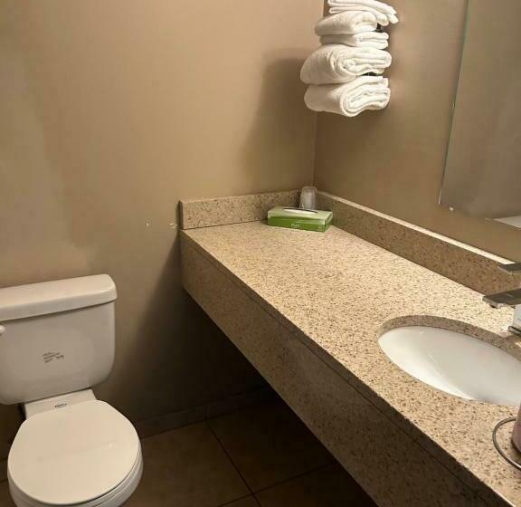 غرفه قياسيه سريرين مزدوجين, Cedar Inn