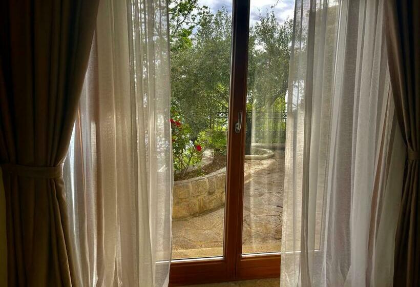 اتاق استاندارد با تراس, Pietra Mare Apartments