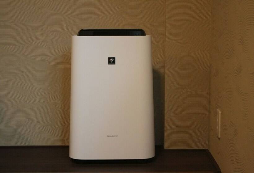 Habitació Estàndard, Tokiwa Ryokan