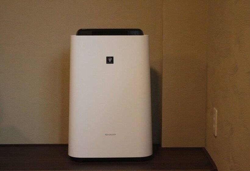 Habitació Estàndard, Tokiwa Ryokan