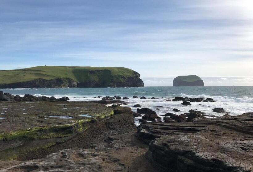 Standard Room Shared Bathroom, Guesthouse árný