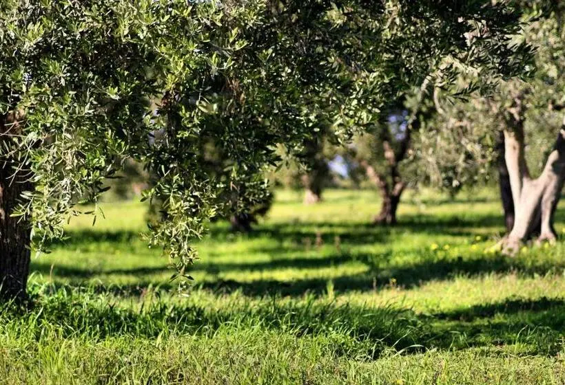 スタンダードルーム, Mater Bed & Food Riserva Naturale Di Torre Guaceto