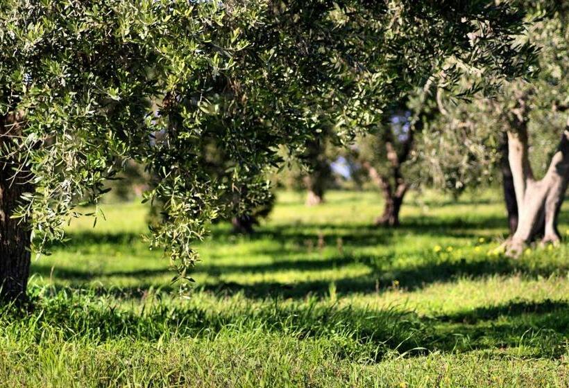 غرفة قياسية مع حمام خارجي, Mater Bed & Food Riserva Naturale Di Torre Guaceto