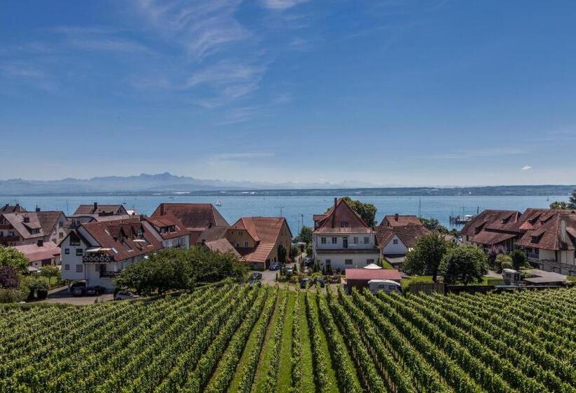 テラス付きスタンダードルーム, Restaurant Hansjakob