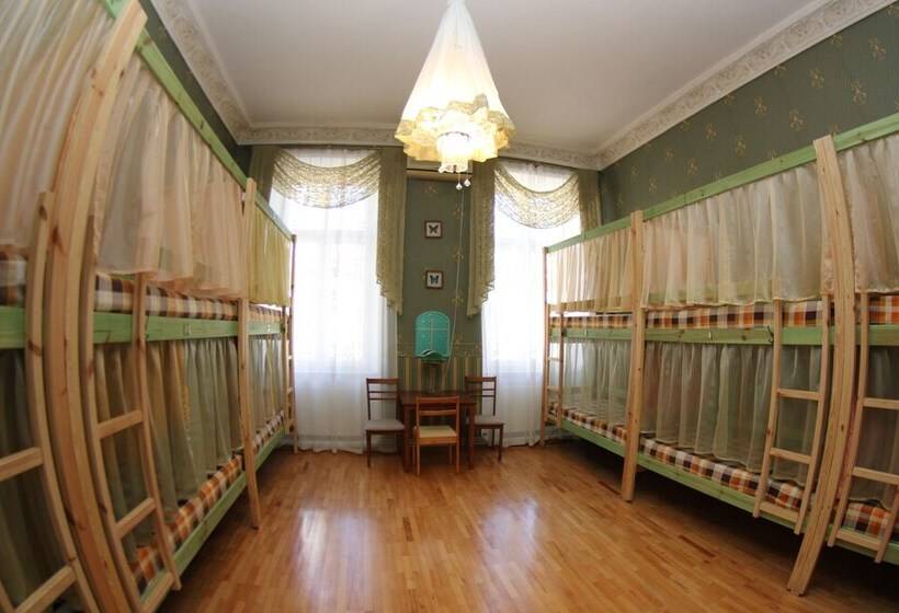 Pat in Cameră Comună, Orpheus Hostel