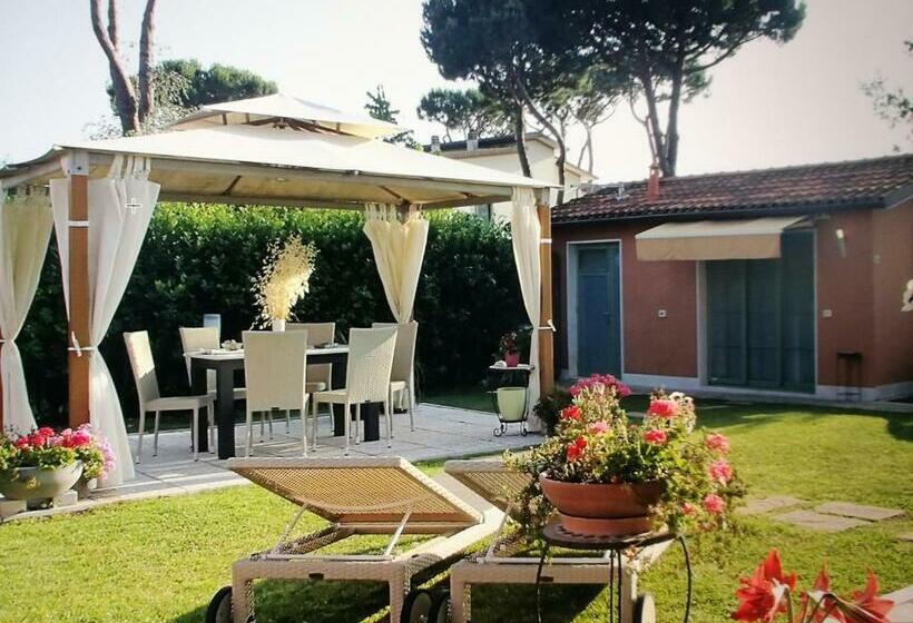 스탠다드 스튜디오 정원 전망, Giusy Bed And Breakfast