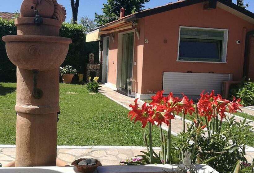 스탠다드 스튜디오 정원 전망, Giusy Bed And Breakfast