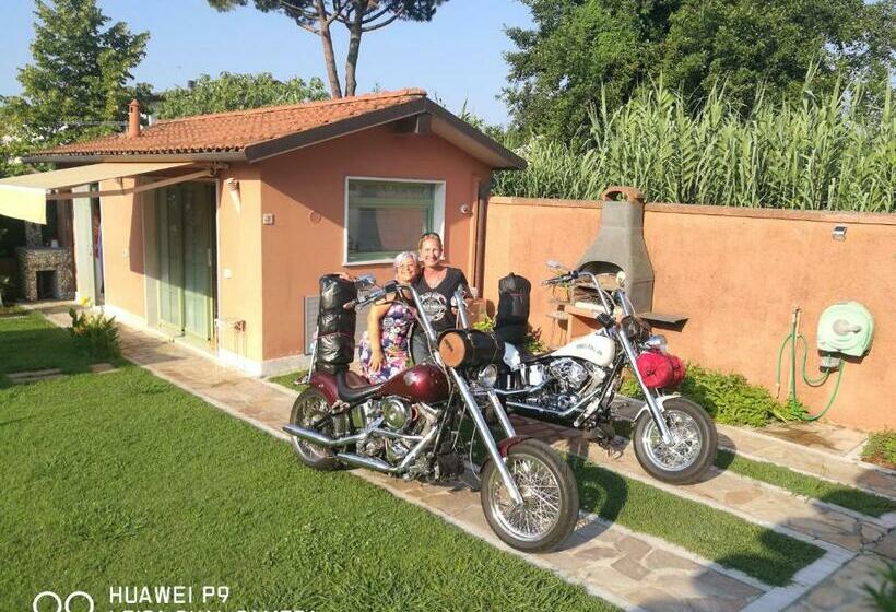 스탠다드 스튜디오 정원 전망, Giusy Bed And Breakfast