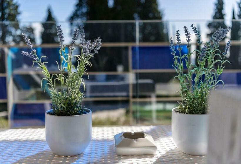 套房, Eden Reserve