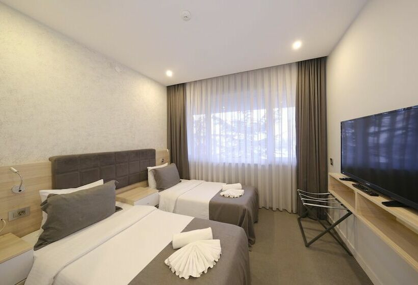 스탠다드 룸, Leto City