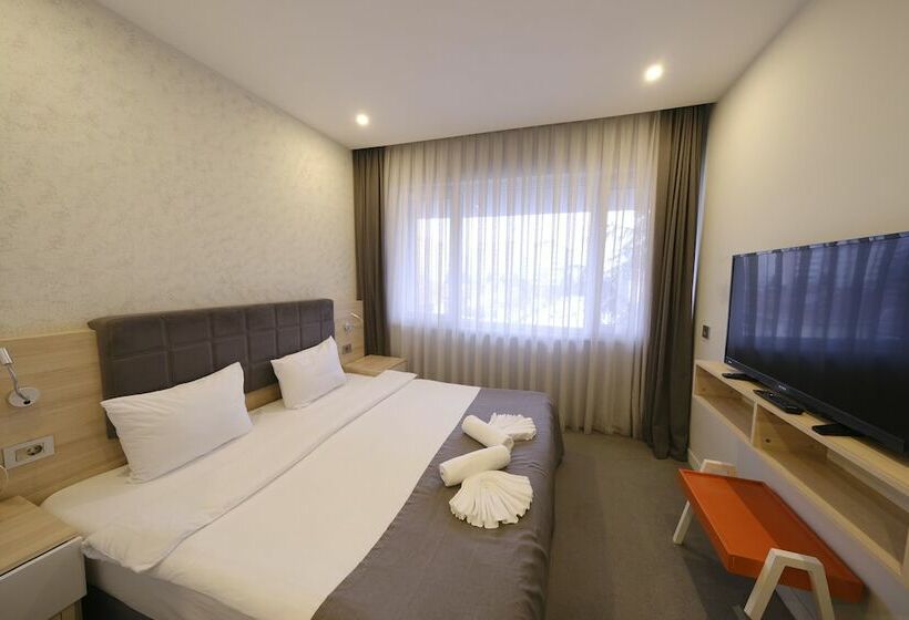 스탠다드 룸, Leto City