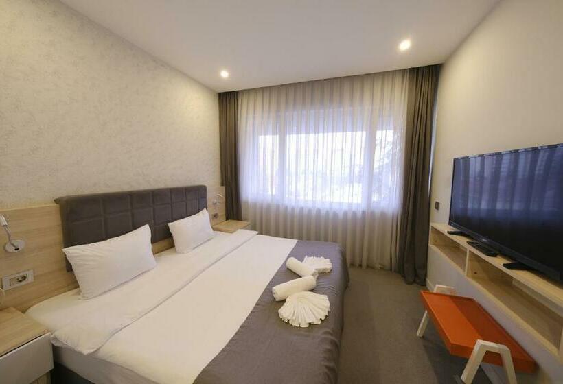 스탠다드 룸, Leto City