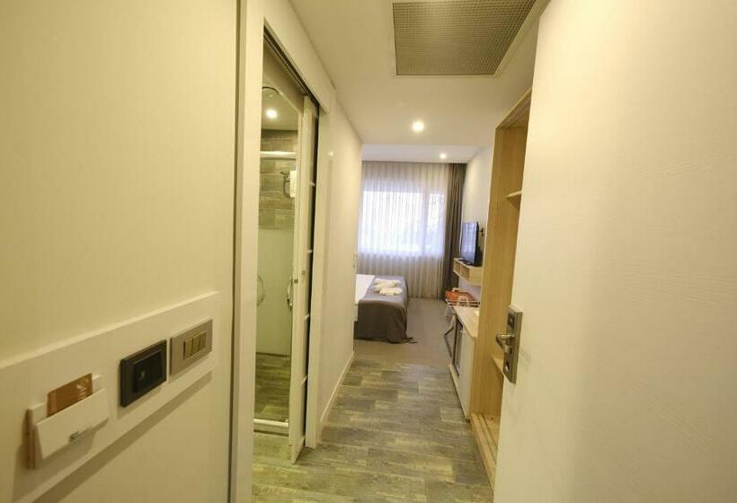 스탠다드 룸, Leto City